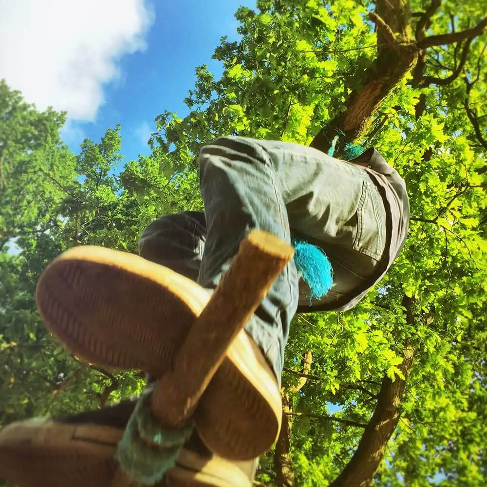 AD Élagage 33, artisan spécialisé dans l’entretien des arbres