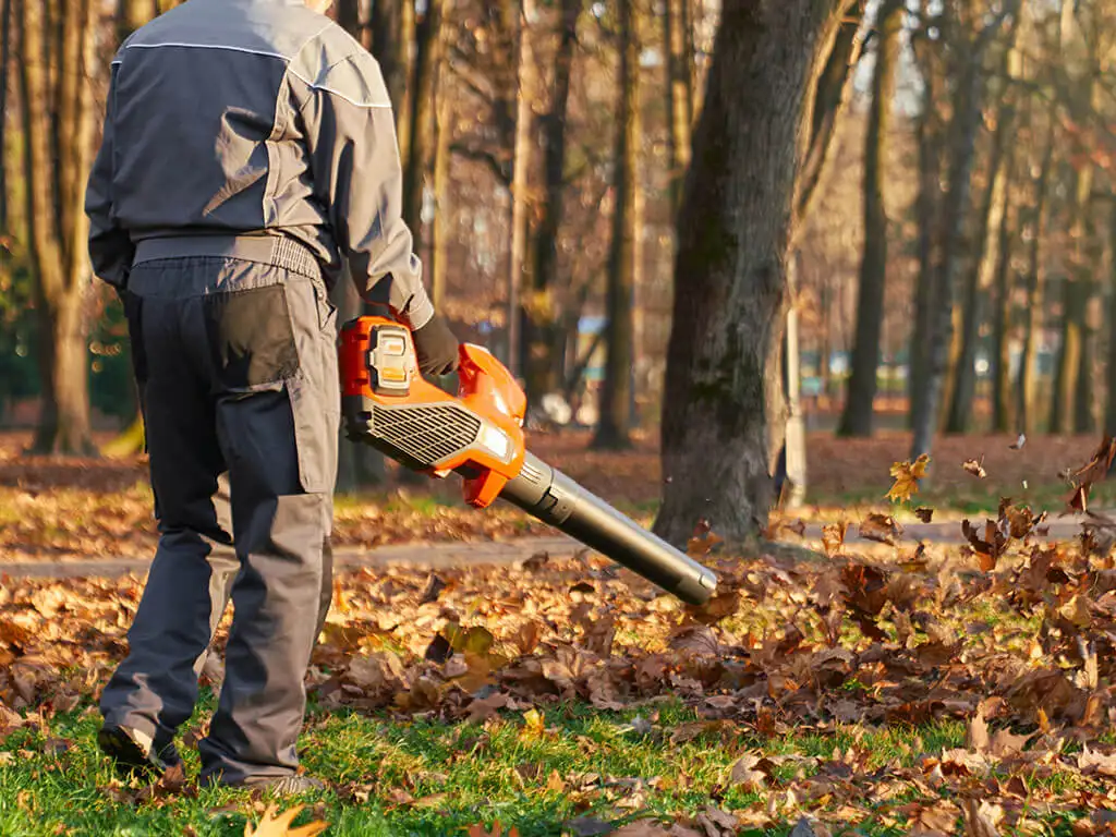 Débroussaillage et entretien espaces verts